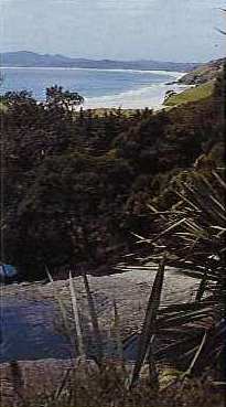 Spirits Bay, from Pandora